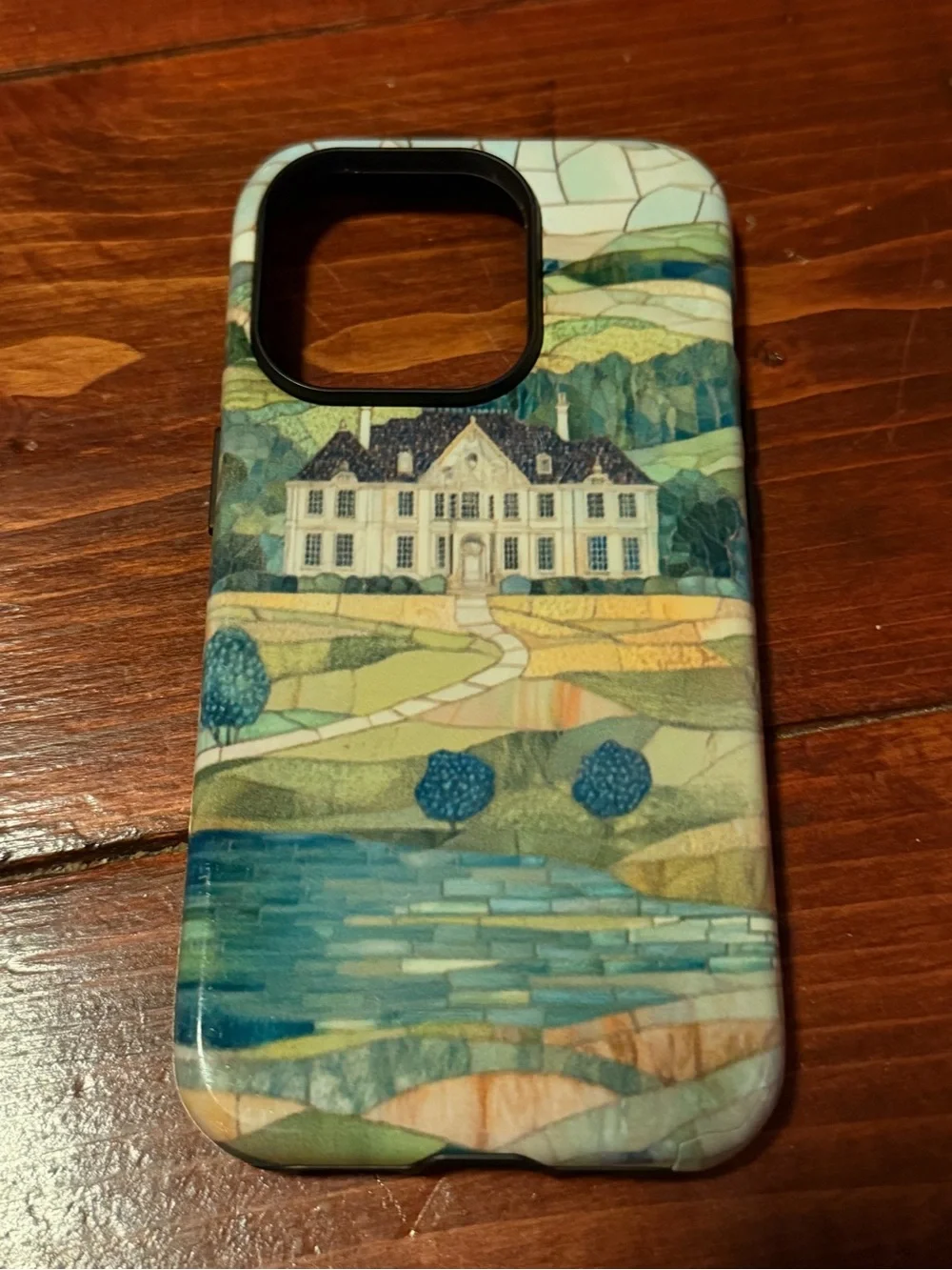 Pride & Prejudice iPhone 14pro Phone Case